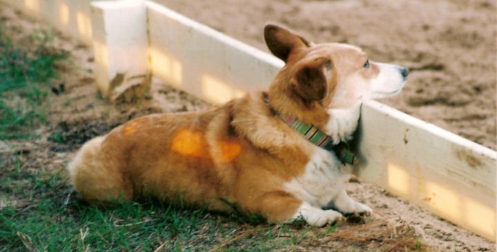 Derby keeping an eye on Jodie in the ring.