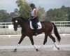 Cindy and Utrillo schooling...