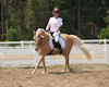 Lily Hall and Heart of Gold