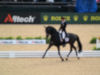 USA's Steffan Peters and Ravel