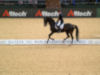 USA's Steffan Peters and Ravel