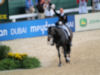 USA's Steffan Peters and Ravel