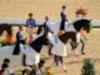 Holland's Gold Medal Team: Edward Gal, Hans Peter Minderhoud and Imke Schellekens-Bartels