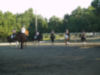 Jodie reviewing schooling ring etiquette