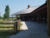 Side of show barns facing rings