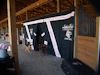 Jodie Kelly Dressage Stall Curtains