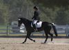 Amanda Stewart - 2013 USDF Region 3 Dressage Championships<br />Image 1 of 29