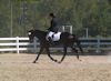 Amanda Stewart - 2013 USDF Region 3 Dressage Championships<br />Image 2 of 29