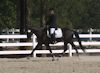 Amanda Stewart - 2013 USDF Region 3 Dressage Championships<br />Image 3 of 29