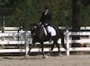 Amanda Stewart - 2013 USDF Region 3 Dressage Championships<br />Image 4 of 29