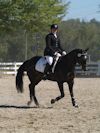 Amanda Stewart - 2013 USDF Region 3 Dressage Championships<br />Image 5 of 29