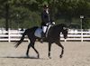 Amanda Stewart - 2013 USDF Region 3 Dressage Championships<br />Image 8 of 29