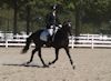 Amanda Stewart - 2013 USDF Region 3 Dressage Championships<br />Image 9 of 29