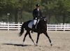 Amanda Stewart - 2013 USDF Region 3 Dressage Championships<br />Image 10 of 29