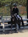 Amanda Stewart - 2013 USDF Region 3 Dressage Championships<br />Image 11 of 29