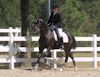 Amanda Stewart - 2013 USDF Region 3 Dressage Championships<br />Image 13 of 29