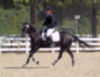 Amanda Stewart - 2013 USDF Region 3 Dressage Championships<br />Image 16 of 29