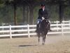 Amanda Stewart - 2013 USDF Region 3 Dressage Championships<br />Image 17 of 29