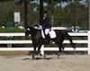 Amanda Stewart - 2013 USDF Region 3 Dressage Championships<br />Image 21 of 29