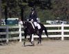 Amanda Stewart - 2013 USDF Region 3 Dressage Championships<br />Image 22 of 29