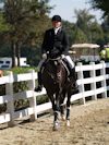 Amanda Stewart - 2013 USDF Region 3 Dressage Championships<br />Image 25 of 29