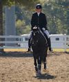 Amanda Stewart - 2013 USDF Region 3 Dressage Championships<br />Image 26 of 29