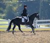 Amanda Stewart - 2013 USDF Region 3 Dressage Championships<br />Image 27 of 29