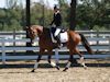 Beth Godwin and Caymus - 2013 USDF Region 3 Dressage Championships<br />Image 1 of 31