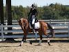 Beth Godwin and Caymus - 2013 USDF Region 3 Dressage Championships<br />Image 3 of 31