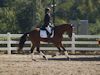 Beth Godwin and Caymus - 2013 USDF Region 3 Dressage Championships<br />Image 5 of 31