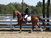 Beth Godwin and Caymus - 2013 USDF Region 3 Dressage Championships<br />Image 12 of 31