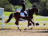 Beth Godwin and Caymus - 2013 USDF Region 3 Dressage Championships<br />Image 13 of 31