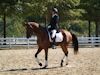 Beth Godwin and Caymus - 2013 USDF Region 3 Dressage Championships<br />Image 15 of 31