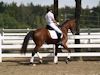 Beth Godwin and Caymus - 2013 USDF Region 3 Dressage Championships<br />Image 24 of 31