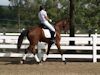 Beth Godwin and Caymus - 2013 USDF Region 3 Dressage Championships<br />Image 25 of 31