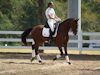 Beth Godwin and Caymus - 2013 USDF Region 3 Dressage Championships<br />Image 27 of 31