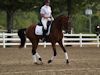 Beth Godwin and Caymus - 2013 USDF Region 3 Dressage Championships<br />Image 31 of 31