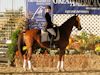 Chelsea Akavickas and Made You Look - 2013 USDF Region 3 Dressage Championships - Jr/YR 4th Level 3rd Place<br />Image 4 of 16