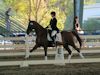 Chelsea Akavickas and Made You Look - 2013 USDF Region 3 Dressage Championships - Jr/YR 4th Level 3rd Place<br />Image 6 of 16