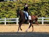 Chelsea Akavickas and Made You Look - 2013 USDF Region 3 Dressage Championships<br />Image 8 of 16