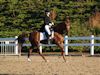 Chelsea Akavickas and Made You Look - 2013 USDF Region 3 Dressage Championships<br />Image 9 of 16