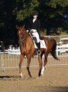 Chelsea Akavickas and Made You Look - 2013 USDF Region 3 Dressage Championships<br />Image 10 of 16