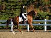 Chelsea Akavickas and Made You Look - 2013 USDF Region 3 Dressage Championships<br />Image 11 of 16