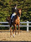 Chelsea Akavickas and Made You Look - 2013 USDF Region 3 Dressage Championships<br />Image 12 of 16