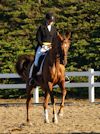 Chelsea Akavickas and Made You Look - 2013 USDF Region 3 Dressage Championships<br />Image 13 of 16