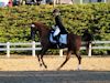 Chelsea Akavickas and Made You Look - 2013 USDF Region 3 Dressage Championships<br />Image 14 of 16