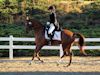 Chelsea Akavickas and Made You Look - 2013 USDF Region 3 Dressage Championships<br />Image 15 of 16