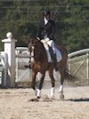 Cindy Carpenter and Utrillo - 2013 USDF Region 3 Dressage Championships<br />Image 3 of 27