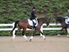 Cindy Carpenter and Utrillo - 2013 USDF Region 3 Dressage Championships<br />Image 7 of 27