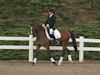 Cindy Carpenter and Utrillo - 2013 USDF Region 3 Dressage Championships<br />Image 8 of 27